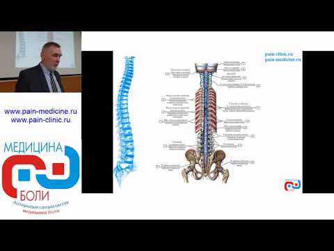 Видео: Роль цереброспинальной венозной системы в эффективности внутрикостной терапии. Соков Е.Л.