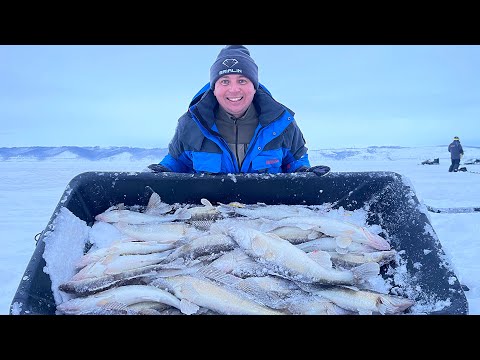 Видео: ТОННЫ СУДАКА ВМЕСТО ДНА! Рыбалка мечты, это надо видеть!