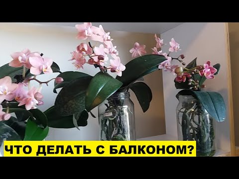Видео: НЕ ЗНАЮ ЧТО ДЕЛАТЬ С БАЛКОНОМ..А ЧТО-ТО НАДО