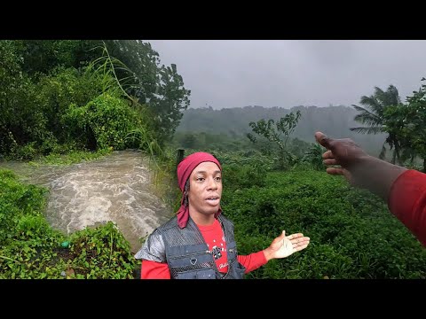 Видео: Последнее обновление — вышли в ураган и обнаружили шокирующее открытие {ураган Мелисса}