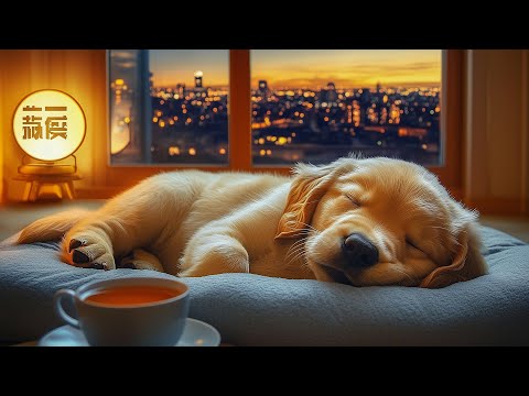 Видео: 12 Часов Успокаивающей Музыки Для Собак 🦮💖 Музыка Для Облегчения Тревоги При Разлуке 🐶 Музыка Для