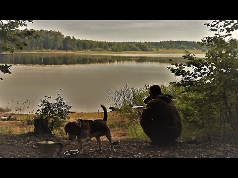 Видео: Рыбалка с Ночёвкой! Потрясающий отдых И Отличный Клёв! Шаурма На Костре!