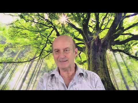 Видео: Почти вся правда о реинкарнации. Часть 3. Примеры - Николай Шпак: @Master_Form