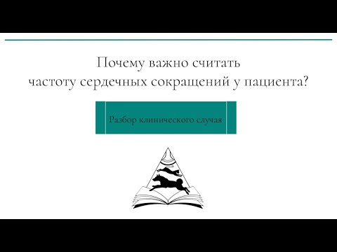 Видео: Почему важно считать ЧСС | ЭХОКГ у кота