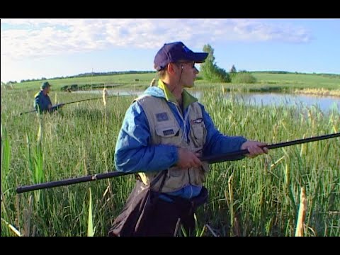 Видео: Ловля линя на заросшем водоеме.