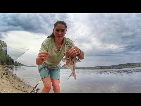 Видео: РЫБА КЛЮЕТ НА САЛО я не успеваю РЫБАЛКА НА ДОНКИ Russian fishing