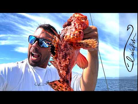 Видео: Мой первый улов с парусной лодки