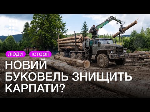 Видео: Кто и почему пытается уничтожить дикие Карпаты? | hromaske