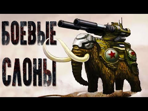 Видео: Боевые Слоны. Элефантерия (история и применение)