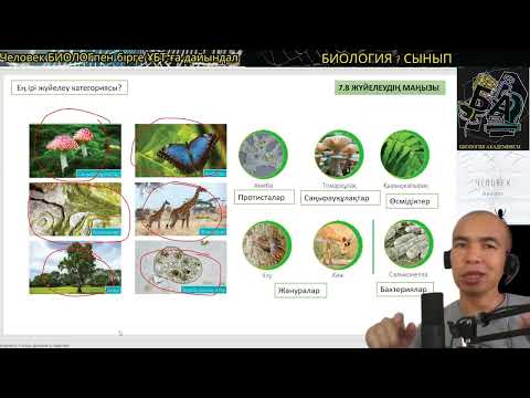 Видео: 7.8. Жүйелеу категоиялары? #биология #7сыныпбиология #ұбтбиология #ұбт
