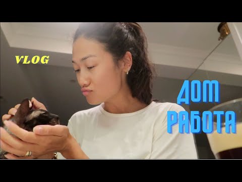 Видео: VLOG 397 - ВЕРНУЛАСЬ К РАБОТЕ, нашли клопов