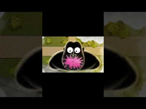 Видео: Правда или Выгода? #амоблог #бизнес #репутация