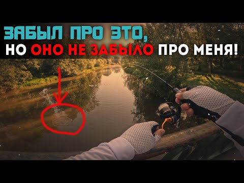 Видео: 💥Щука 600 гр на мормышку 0,15 г!💥 Шок-контент с городского пруда #мормышинг #щука #карась