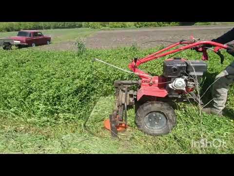 Видео: Робота косаркою бензинового мотоблока Forte 1350g, прибирання люцерни