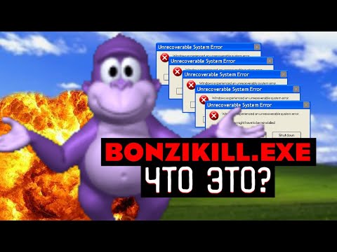 Видео: СТРАННЫЙ ВИРУС - BONZI KILL.EXE