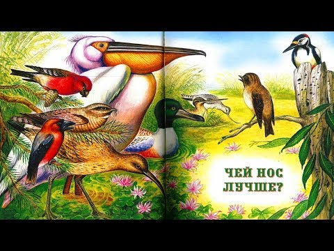 Видео: ЧЕЙ НОС ЛУЧШЕ? | Виталий Бианки | аудио сказка | Аудиосказки | Сказки на ночь |Слушать сказки онлайн