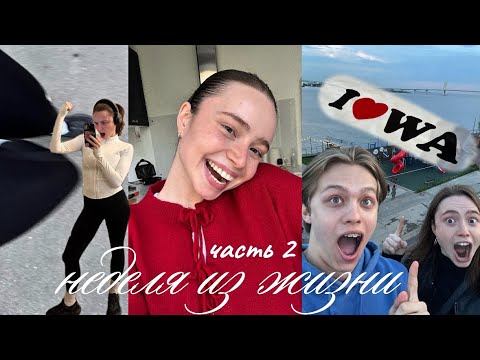 Видео: неделя из жизни в Питере 🌸 концерт, бег и работа аналитиком