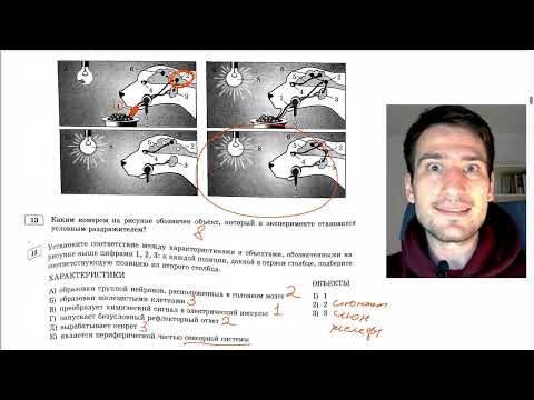Видео: ПОЛНЫЙ РАЗБОР 13 и 14 ЗАДАНИЯ ЕГЭ ПО БИОЛОГИИ из сборника Рохлова 2025