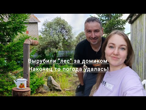Видео: ЭТА ЗАБРОШЕННАЯ ДАЧА СТАНОВИТСЯ ВСЁ ЛУЧШЕ И ЛУЧШЕ, РЕЖЕМ ПИЛИМ ОБЛАГОРАЖИВАЕМ