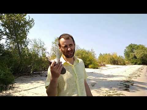Видео: Привет 22+ Южанка (финальная доработка)
