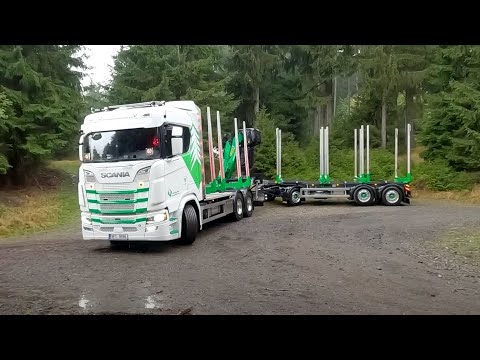 Видео: Королева леса - Scania V8 S 770