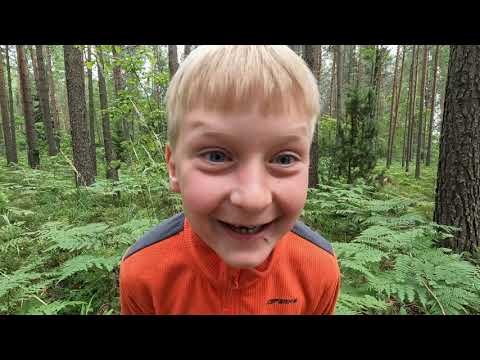 Видео: Детский поход 2022 (Синешские озёра)