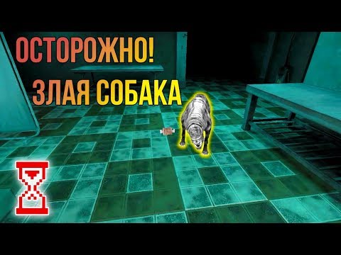 Видео: Прохождение Больницы с дружком | Eyes - The horror game