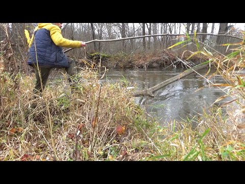 Видео: Неожиданный выход щуки в плохую погоду! Я вообще такого и не предполагал...