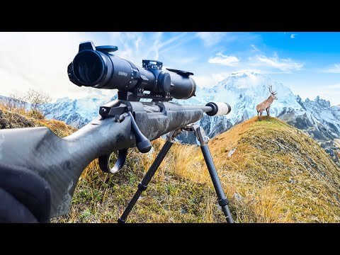 Видео: Мы наконец-то нашли его (7-дневная охота в дикой природе)