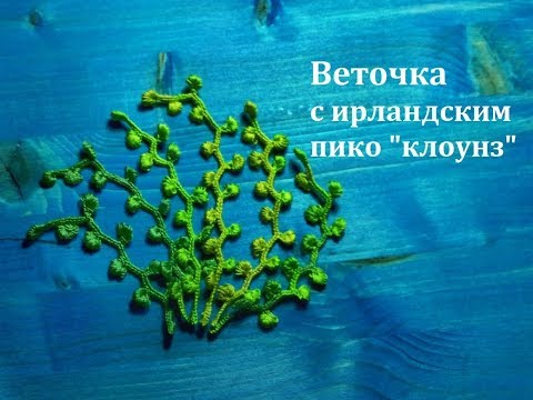 Видео: Веточка с ирландским пико "Клоунз"