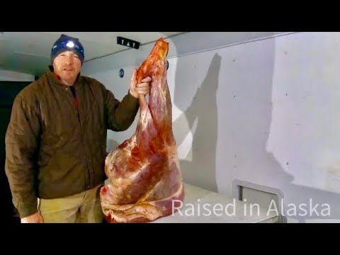 Видео: Переработка лося: стейки, жаркое и бургеры