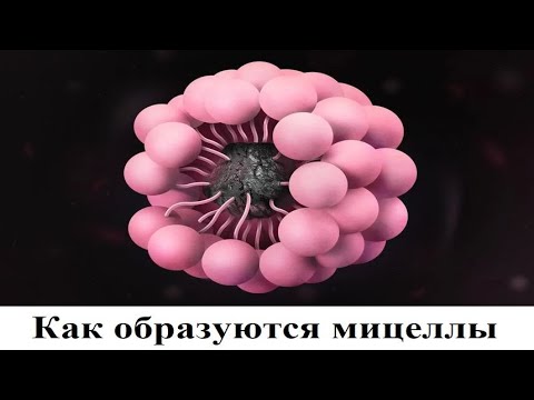 Видео: Как образуются мицеллы