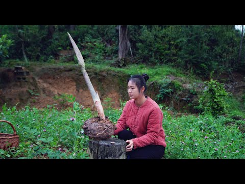 Видео: Превращаем конжак в горшок с ЧЕРНЫМ тофу!