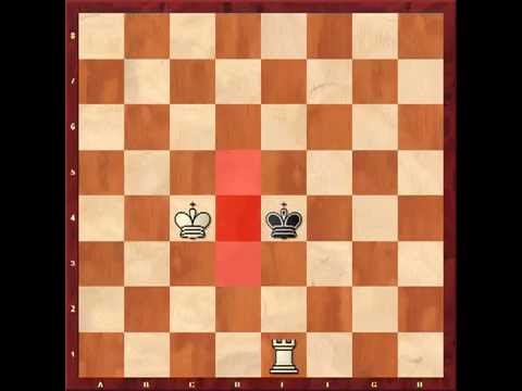 Видео: УРОК №10 МАТ ЛАДЬЕЙ