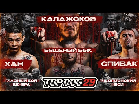 Видео: Калажоков VS Бешеный Бык, Хан VS Спивак | Главный Бой Вечера, Чемпионский Бой | TOP DOG 29