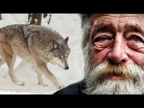 Видео: 💥/ВОТ КАК В ЖИЗНИ БЫВАЕТ/  Не было бы счастья, да несчастье помогло/