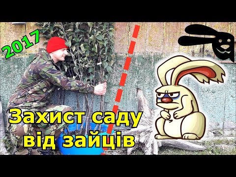 Видео: Захист саджанців від зайців