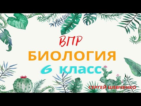 Видео: ВПР биология 6 класс 2021 вариант 1