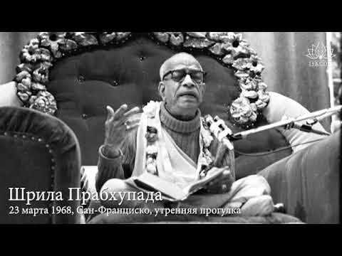 Видео: Беседы на утренней прогулке, 23 марта 1968 года