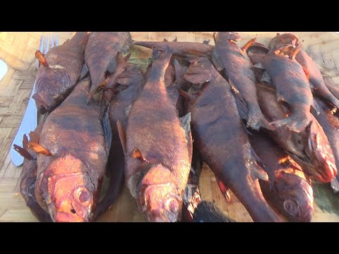 Видео: Окунь Горячего Копчения