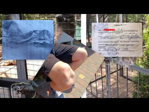 Видео: Такое может случится только в Тайгане! ЧП 29.07.25 (часть 2)