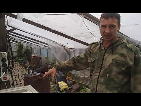 Видео: Узв в теплице чистка фильтрация воды