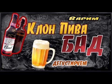 Видео: Варка КЛОНА ПИВА "БАД" и ДЕГУСТАЦИЯ, СРАВНЕНИЕ!