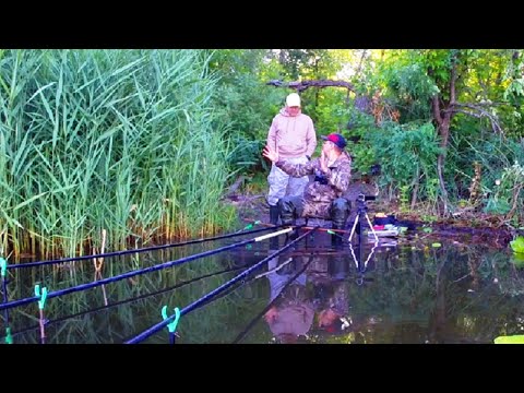 Видео: КРУПНЯК ПІШОВ на ХАЛВУ! 🐟 Рибалка на Поплавок!🎣 Ловля карася!