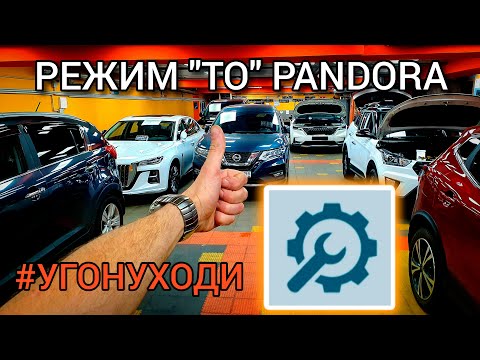 Видео: Сервисный режим - Pandora