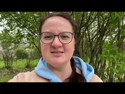 Видео: «Что мы наделали» выпуски 95 и 96. Разбор песни на рутуб