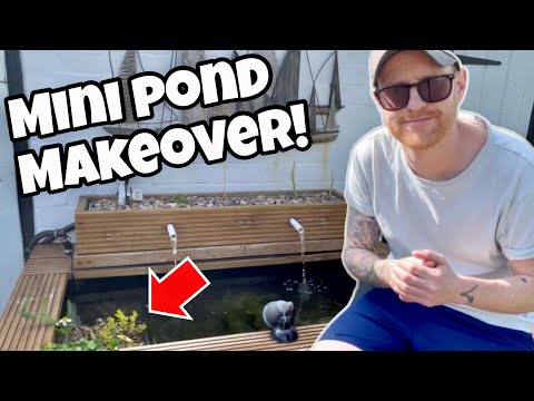 Видео: Новые рыбы и растения для НАДЗЕМНОГО МИНИ-ПРУДА! (Обновление на 1 год)