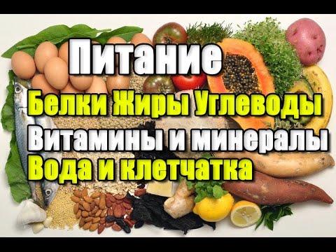 Видео: ЦИКЛ О ПИТАНИИ.  Белки. Жиры. Углеводы. Минералы и витамины. Вода и пищевые волокна.