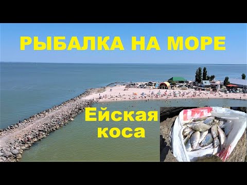 Видео: РЫБАЛКА В ЕЙСКЕ