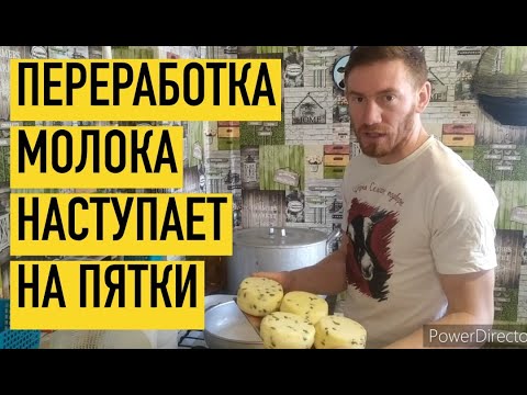 Видео: У ВАС МНОГО МОЛОКА? СМОТРИТЕ МЕНЯ, Я ВАМ ПРИГОЖУСЬ. ПРОДАМ ВСЁ БЕЗ ОСТАТКА.